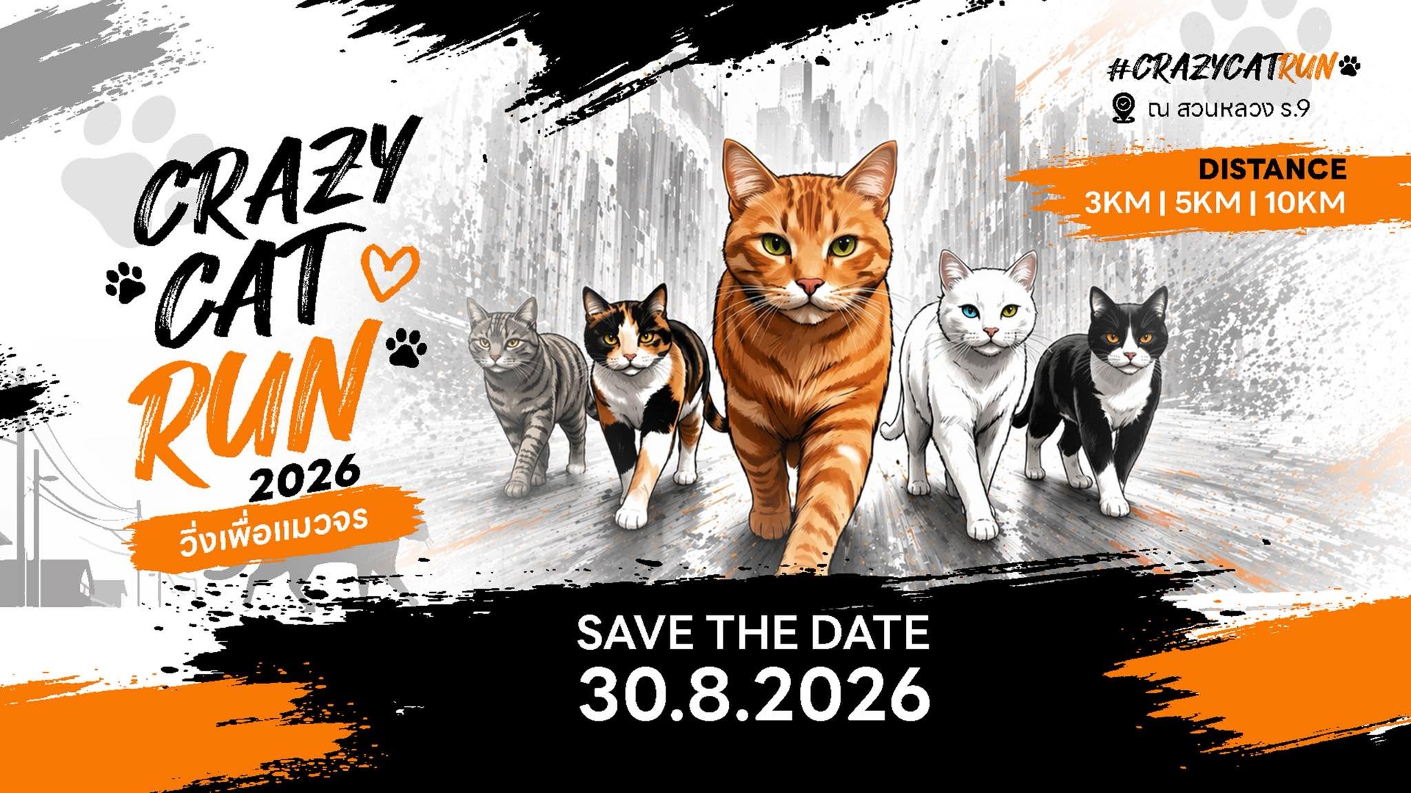 Crazy Cat Run วิ่งเพื่อแมวจร 2026