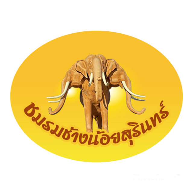 วิ่งเอาถ้วยครั้งที่1